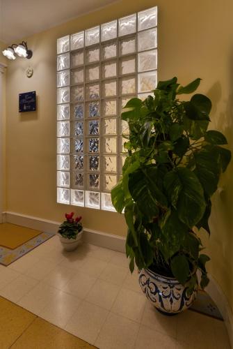 a large plant in a room with a window at Casa Manzella in Terrasini