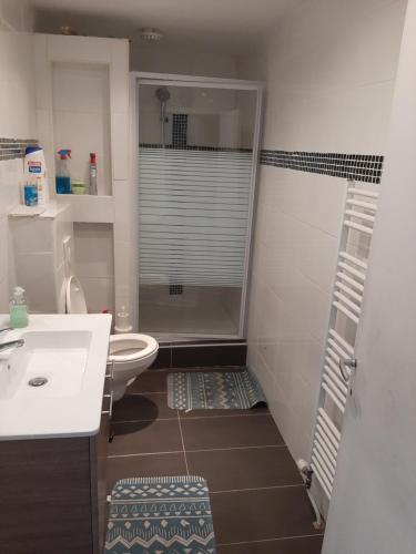 uma casa de banho com um chuveiro, um lavatório e um WC. em ESCALE DU BOURLINGUEUR em Charleroi