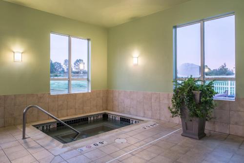 a bathroom with a tub with a plant and windows at Holiday Inn Express Mystic, an IHG Hotel in Mystic