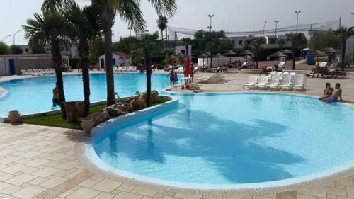 een groot blauw zwembad met palmbomen en stoelen bij Villa Cesarea in Porto Cesareo