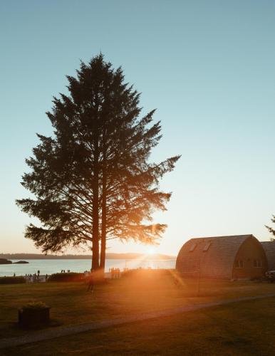 a tree and a barn with the sunset in the background at Ocean Village Resort in Tofino