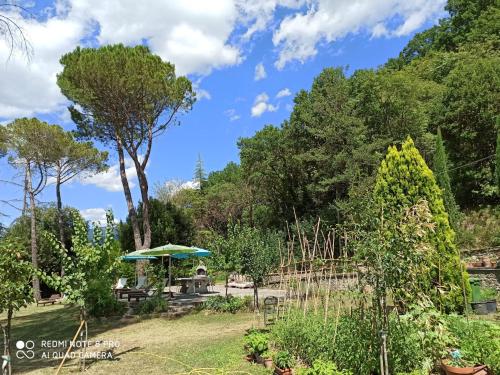 a garden with a picnic table and trees at Villa La Ginestra - Charming Country Home in Capolona