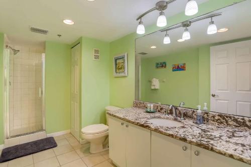 La salle de bains est pourvue d'un lavabo, de toilettes et d'un miroir. dans l'établissement 105 Hamilton House, à Clearwater Beach