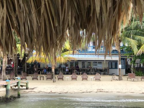 a beach with chairs and a building in the background at Maya Beach Hotel in Maya Beach