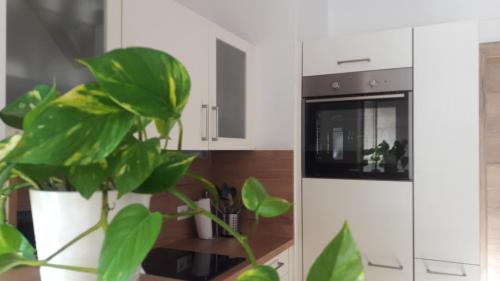 Ferienhaus Gerlachにあるキッチンまたは簡易キッチン