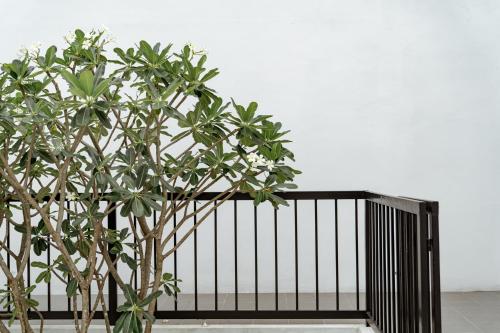Fotografie z fotogalerie ubytování My space69 v destinaci Ban Pak Khlong Khwang