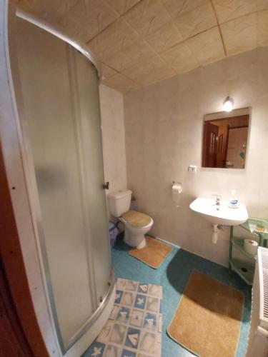 a bathroom with a shower and a toilet and a sink at Aśka in Białka Tatrzanska