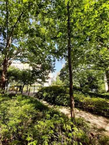 a path in a park with trees and bushes at Bestel Residence in Seoul