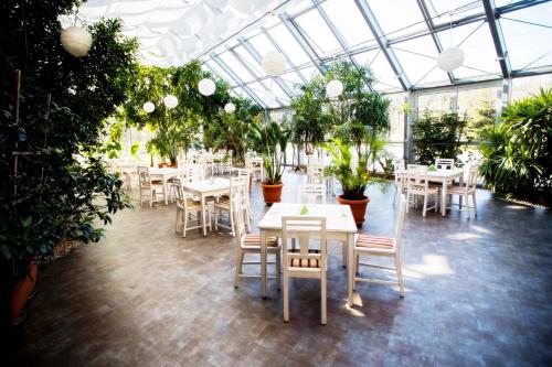 una serra con tavoli, sedie e piante in vaso di Hotel LUKA a Radom