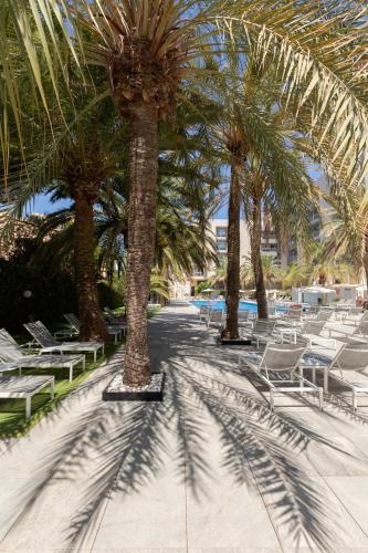 a row of palm trees with chairs and tables at Bordoy Cosmopolitan in Playa de Palma