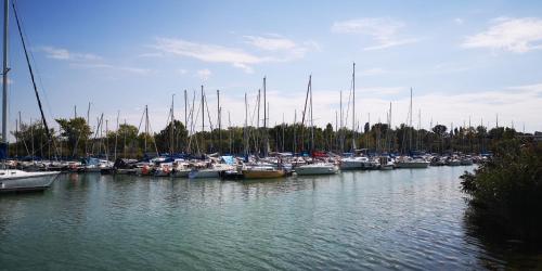 a bunch of boats are docked in a harbor at LAKE MOMENTS - Emerald Penthouse in Balatonszemes