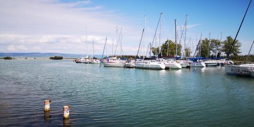a bunch of boats are docked in the water at LAKE MOMENTS - Emerald Penthouse in Balatonszemes