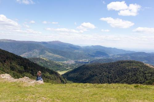 a person standing on top of a hill overlooking a valley at Chalets Na'Thur lodge in Fellering