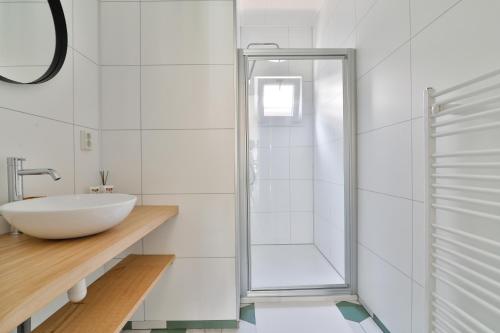 a bathroom with a sink and a shower at Buitenlede 7 - Suite R in Dwingeloo