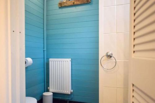 Baño azul con aseo y radiador en Mount Pleasant Brixham en Brixham