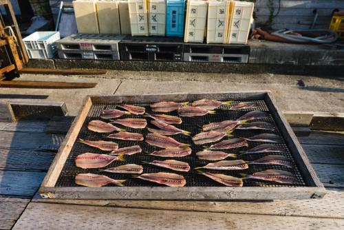 a tray of fish on a grill on the ground at B&B MIKAWA 3 - Kanazawa Fish Harbour in Kanazawa