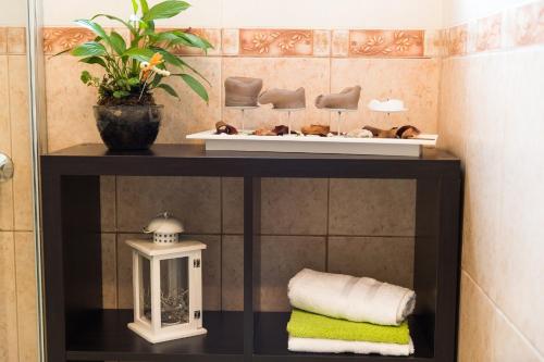 Billede fra billedgalleriet på DEA i Grižane