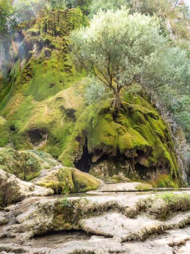 Φυσικό τοπίο κοντά σε αυτό το ξενοδοχείο
