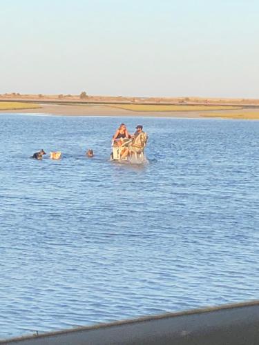 a group of people riding an elephant in the water at Hotel Djerba Orient in Mezraya