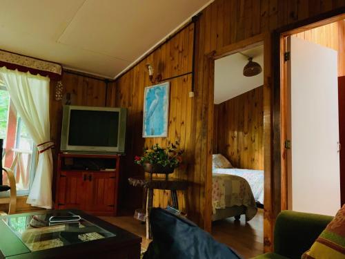TV a/nebo společenská místnost v ubytování Cabaña Las Patagüas - Coñaripe