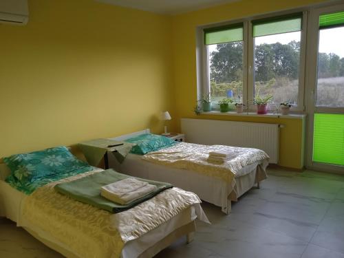 Strzelce GórneAgrostok noclegi agroturystyka的有两张床的房间有两扇窗户