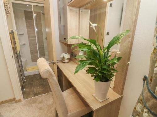 ein Badezimmer mit einer Theke mit einer Pflanze darauf in der Unterkunft Lancaster Lodge in Carnforth