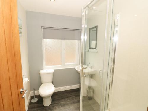 uma casa de banho com um WC e uma cabina de duche em vidro. em Bryn em Bangor