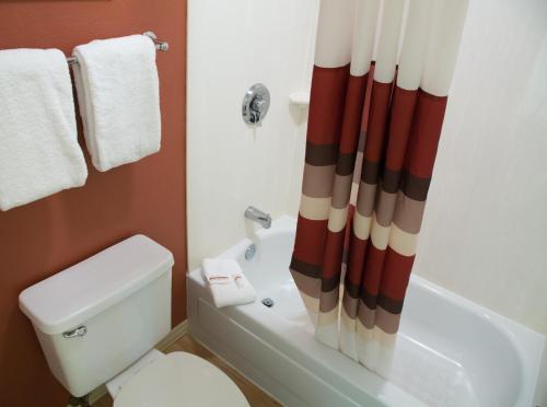 a bathroom with a toilet and a shower curtain at Red Roof Inn Mystic - New London in New London