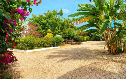 Κήπος έξω από το Big Furaha Villa
