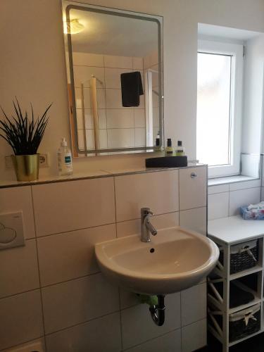 a bathroom with a sink and a mirror at Ferienwohnung Hofmeister in Heilbad Heiligenstadt