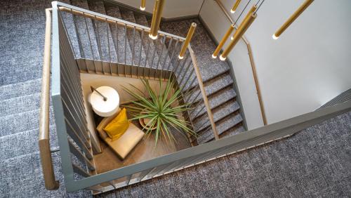 an overhead view of a staircase with a plant at Marmalade in Portree