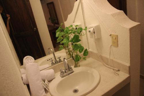 La salle de bains est pourvue d'un lavabo et d'une plante sur un comptoir. dans l'établissement Hotel Arenas del Pacifico, à Santa Cruz Huatulco
