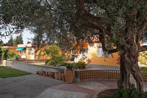Foto Bungalows Pascual 5