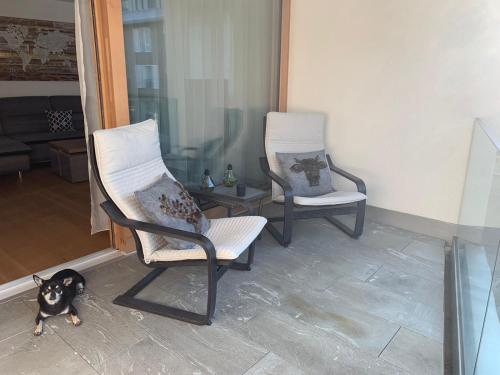two chairs and a dog sitting in a living room at Montanas - Luxuswohnung mit Kamin - Nahe Caumasee & Talstation in Flims