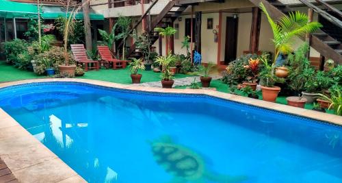 a blue swimming pool with plants in a yard at hotel le Massilia in Belém