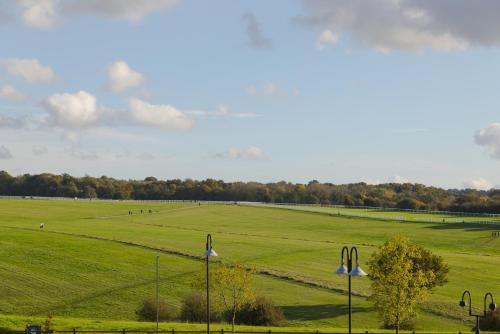 a large green field with people in the distance at Holiday Inn Express London - Epsom Downs by IHG in Epsom