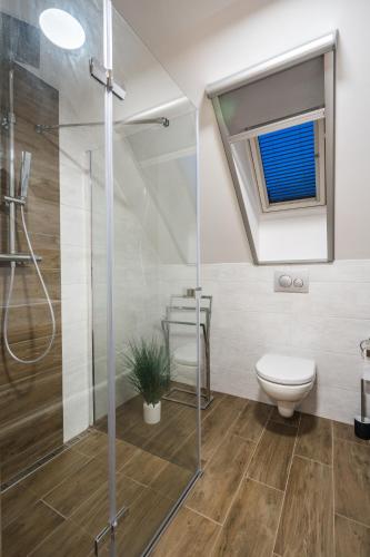 a bathroom with a shower and a toilet at Ubytovanie pod gaštanom in Hodruša