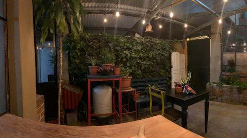a room with a green hedge with plants at Casa Elizabeth in Quetzaltenango