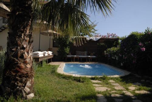 a swimming pool in a yard with a palm tree at Mandarin & Mango Boutique Hotel in Faralya