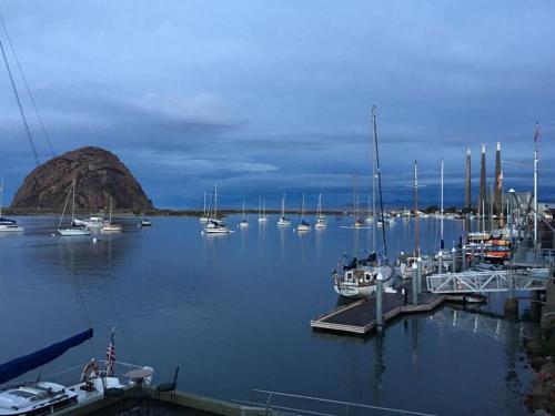 un grupo de barcos atracados en un muelle en el agua en Estero Inn, en Morro Bay