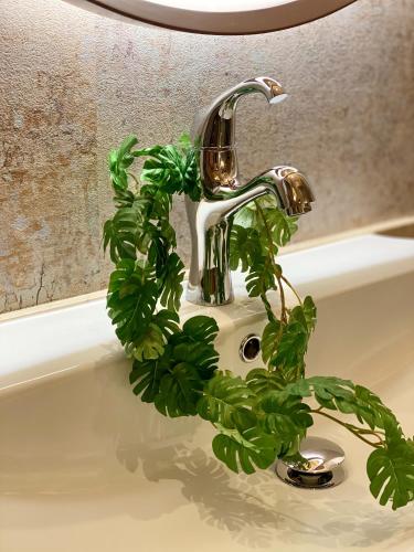 a green plant sitting on a sink with a faucet at Hotel Venus Garden(Adult Only) in Nagoya