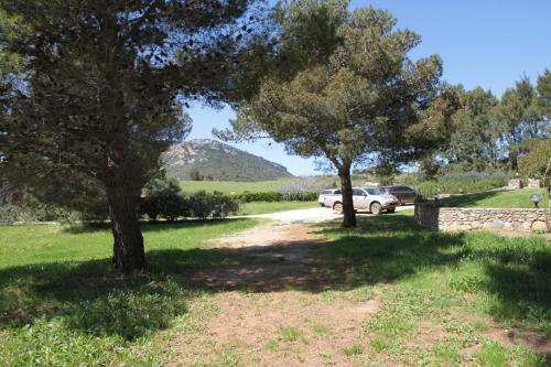 a road with two trees and a car in a field at Domaine Les 4 Vents in Patrimonio