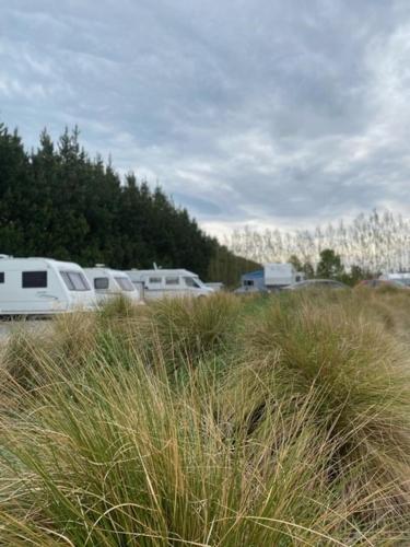 a field of tall grass with rvs in the background at Ashburton Holiday Park in Ashburton