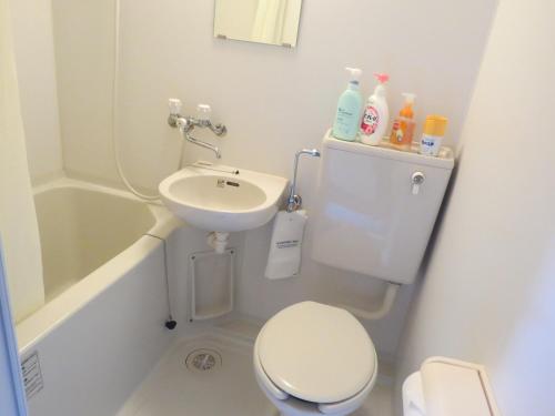 Baño pequeño con aseo y lavamanos en Cottage Orange House Yakushima, en Yakushima