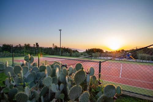 Mirana Luxury Villas – Photos 2