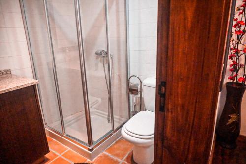 een badkamer met een douche en een toilet. bij Casa Nova de Germil in Ponte da Barca