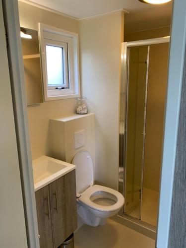 een badkamer met een toilet, een wastafel en een douche bij Luxe Chalet dichtbij Zoutelande in Biggekerke