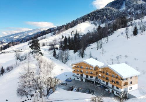 Franz Johann Appartements - near slopes - Reiteralm