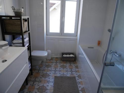 ein Bad mit einer Dusche, einem WC und einem Waschbecken in der Unterkunft Cosy Home Colmar - Petite Venise in Colmar