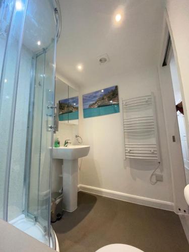 a bathroom with a sink and a shower at Comfortable cosy double ensuite room 'Karibu' in Cherry Hinton